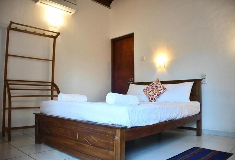 スタンダードルーム, Bright Sunshine