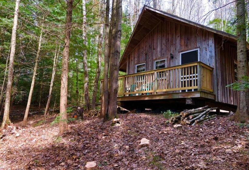 بنجلو عائلى, Grunberg Haus Inn & Cabins