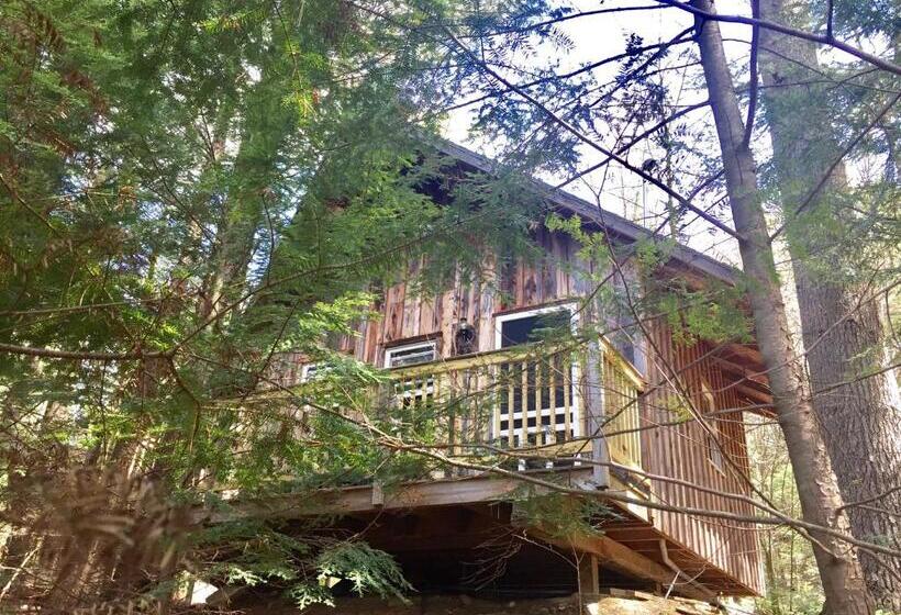 بنجلو عائلى, Grunberg Haus Inn & Cabins