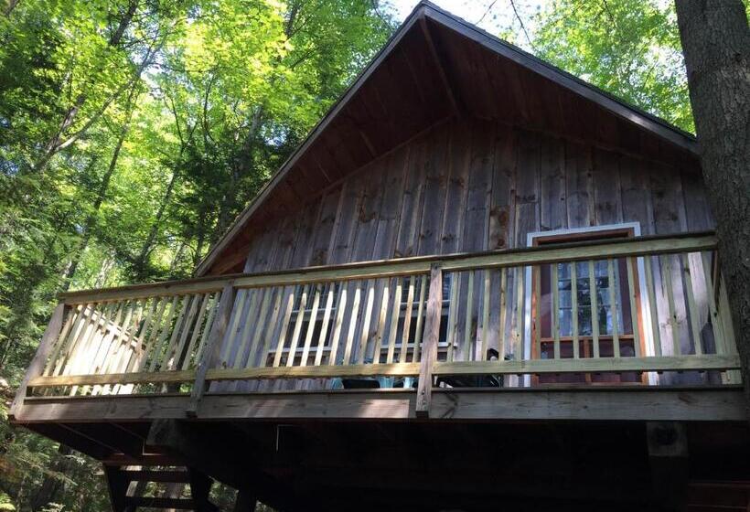 بنجلو عائلى, Grunberg Haus Inn & Cabins