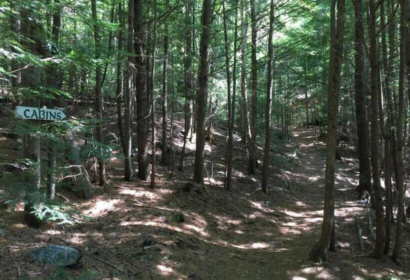 بنجلو عائلى, Grunberg Haus Inn & Cabins