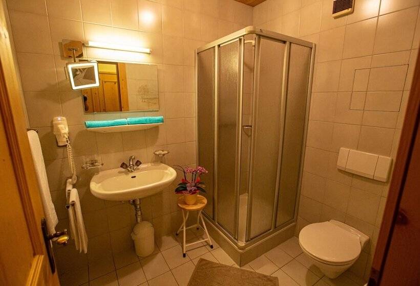 Номер Стандарт, Gasthof Panzl Bräu