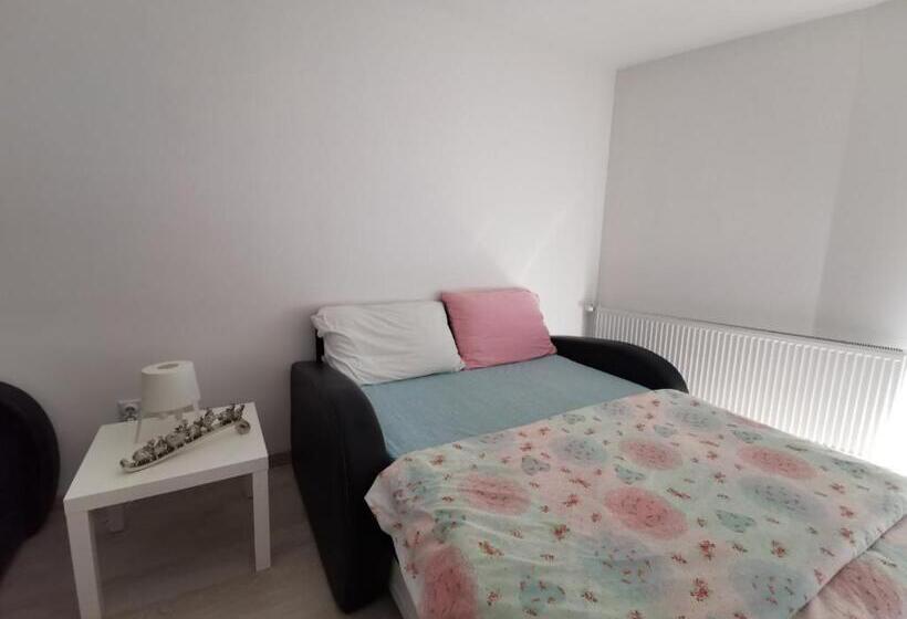 استودیو استاندارد با تراس, Guest House Dana