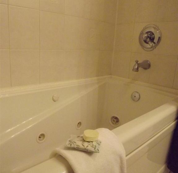 스탠다드 룸 킹사이즈 침대, Old Brick Inn