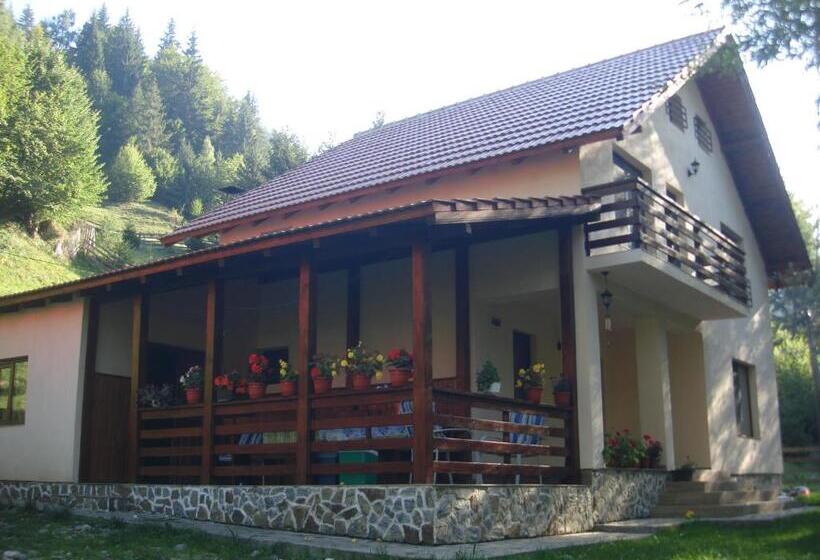 Дом 4 Спальни, Casa Maia Dambovicioara