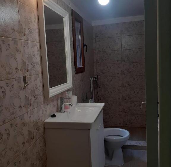 شقة غرفة واحدة مطلة على الحديقة, Casa Maia Dambovicioara