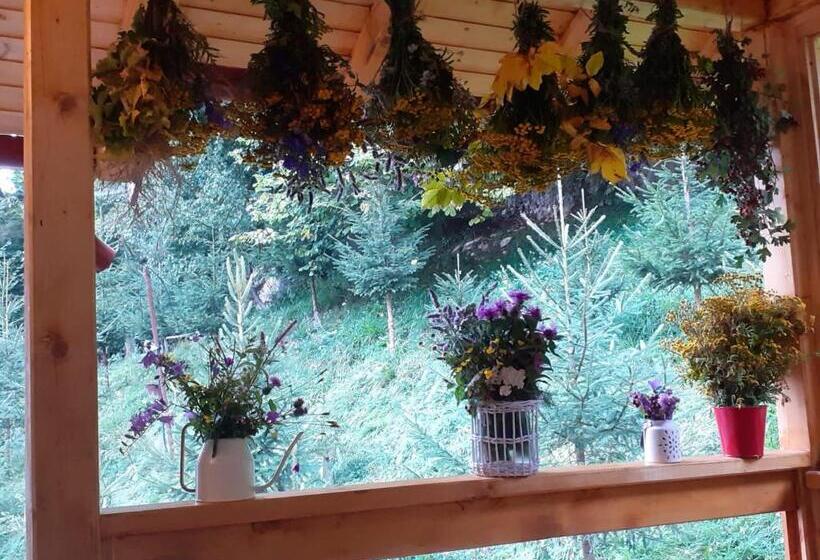 شقة غرفة واحدة مطلة على الحديقة, Casa Maia Dambovicioara