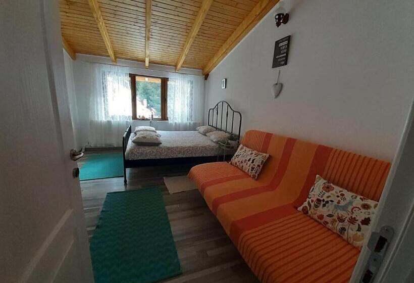 شقة غرفة واحدة مطلة على الحديقة, Casa Maia Dambovicioara