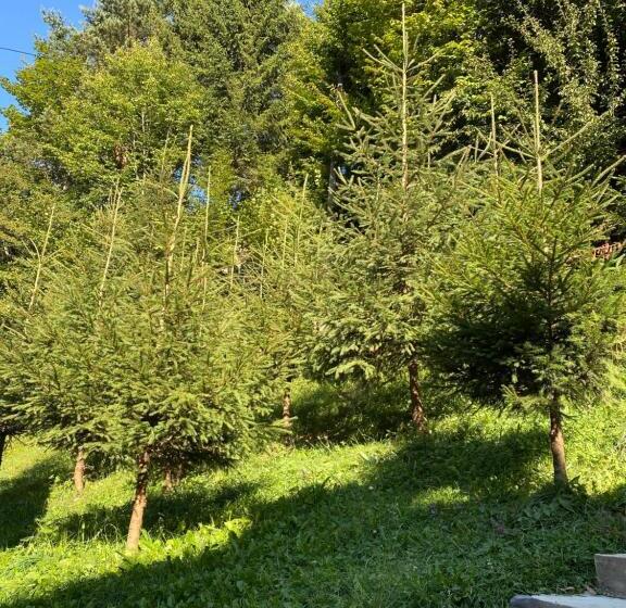 شقة غرفة واحدة مطلة على الحديقة, Casa Maia Dambovicioara