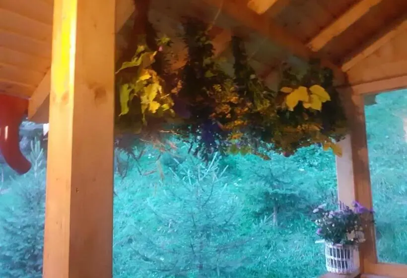 庭の見える1ベッドルームアパートメント, Casa Maia Dambovicioara