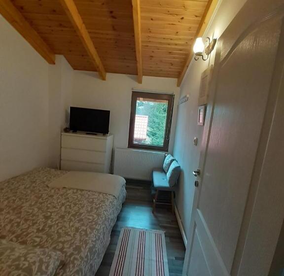 شقة غرفة واحدة مطلة على الحديقة, Casa Maia Dambovicioara