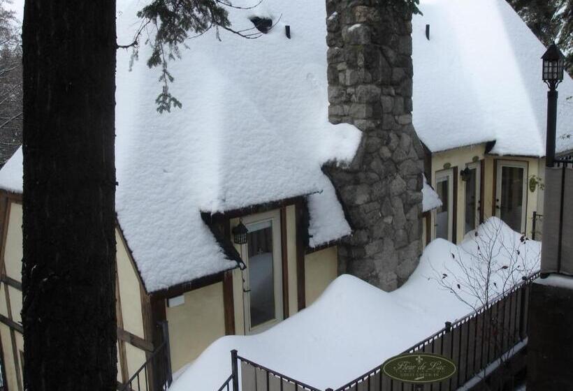 Номер Стандарт Вид на Горы, Fleur De Lac Europeran Inn