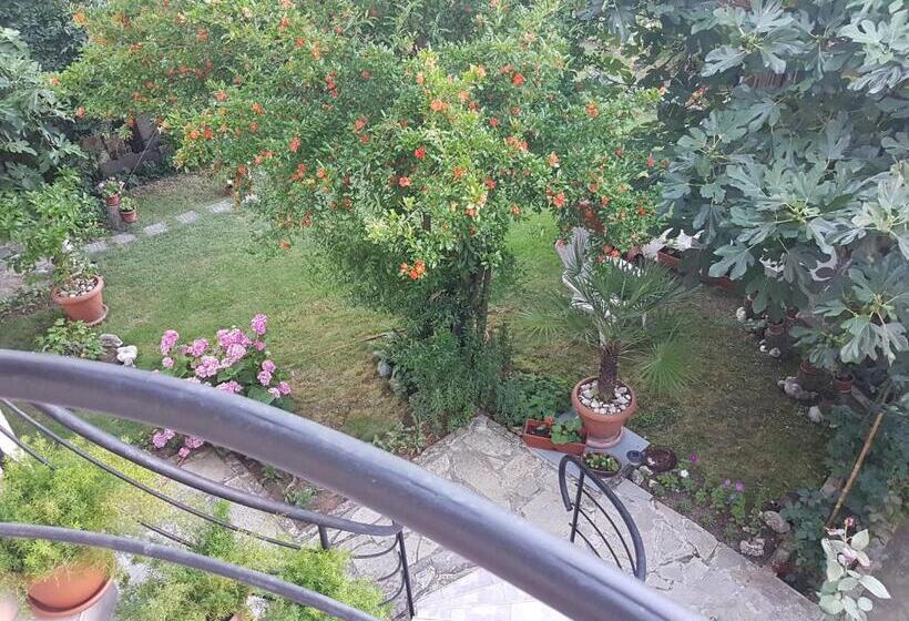 Номер Стандарт Вид на Сад, Guest House Veselina