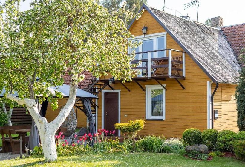 بنگله خانوادگی, Kopų 32 šventoji