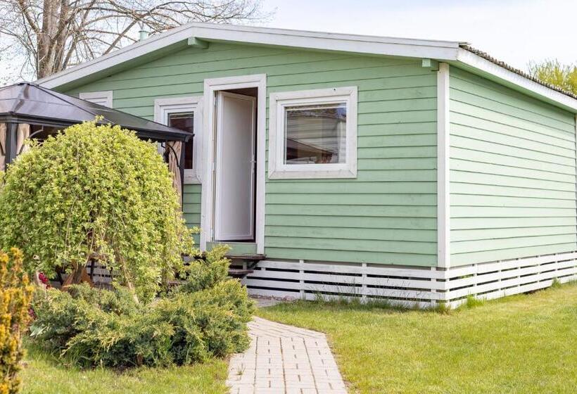 کلبه ییلاقی, Kopų 32 šventoji