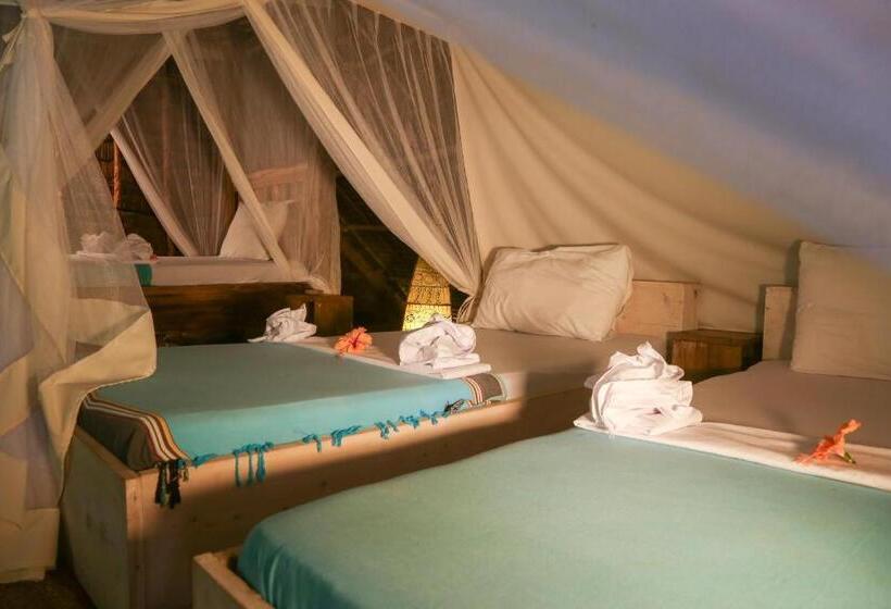 סוויטה נוף לבריכה, Mr Kahawa Lofts