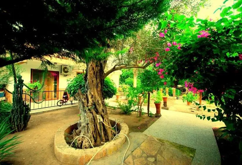 Standard Kolmen Hengen Huone, Cemils Guest House