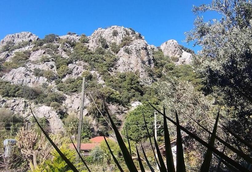 اتاق خانوادگی با چشمانداز باغ, Cemils Guest House