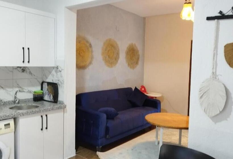 اتاق خانوادگی با چشمانداز باغ, Cemils Guest House