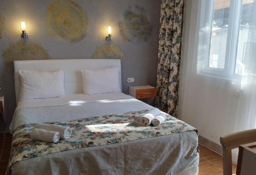 آپارتمان 1 خوابه با چشمانداز باغ, Cemils Guest House