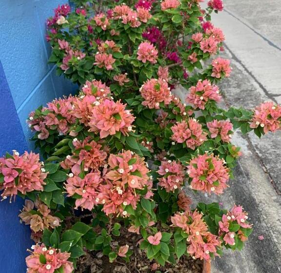 اتاق استاندارد, D Heart Homestay