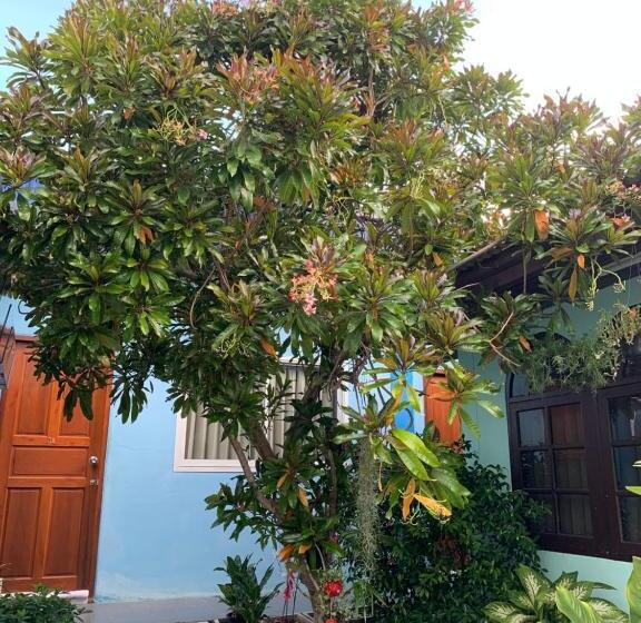 اتاق استاندارد, D Heart Homestay