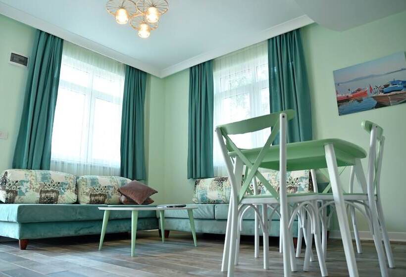 Апартаменты 1 Спальня, Zeytin Arası Apart Otel