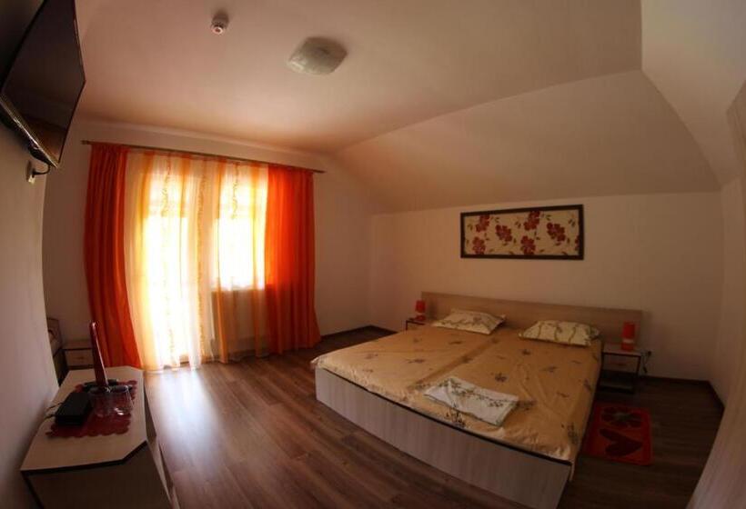 חדר סטנדרט לשלושה, Pensiune ștefania