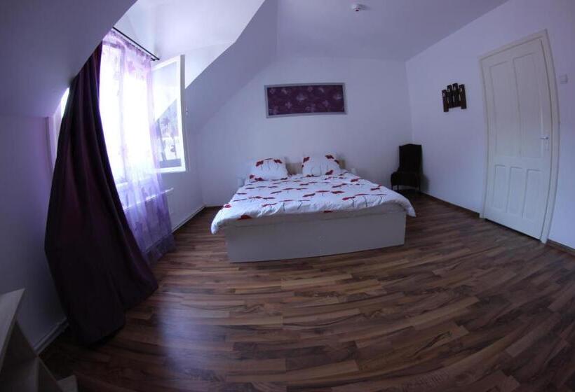 חדר סטנדרט חדר אמבטיה משותף, Pensiune ștefania