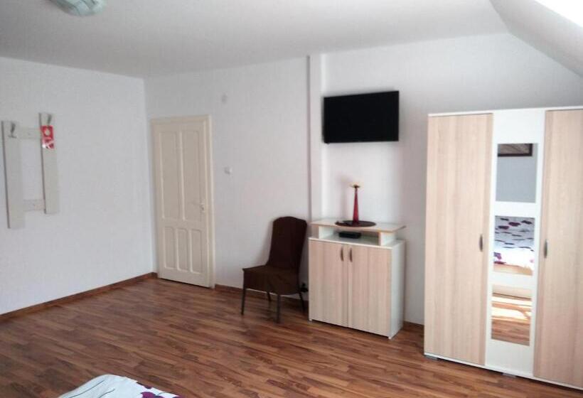 חדר סטנדרט לארבעה, Pensiune ștefania