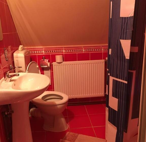 غرفة قياسية, Pensiunea Gaiu