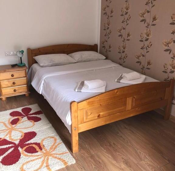 غرفة قياسية, Pensiunea Gaiu