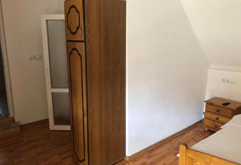 غرفة قياسية, Pensiunea Gaiu