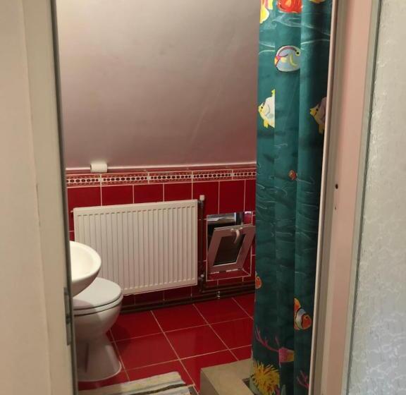 غرفة قياسية, Pensiunea Gaiu