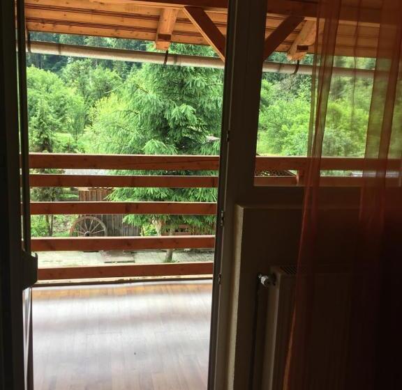 غرفة قياسية, Pensiunea Gaiu