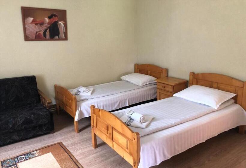 غرفة قياسية رباعية, Pensiunea Gaiu