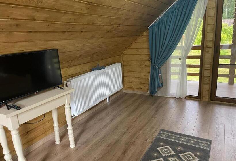 Номер Deluxe Вид на Горы, Pensiunea Gaiu