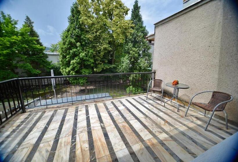 스탠다드 룸, Casa Negustorului