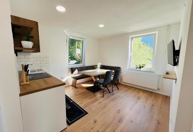 آپارتمان 1 خوابه, Guesthouse Avsenik