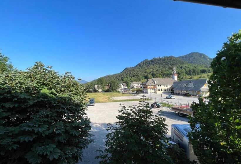 آپارتمان 1 خوابه, Guesthouse Avsenik