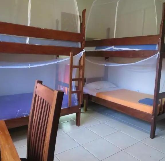 اتاق استاندارد چهار تخته, Bikeventures House Uganda