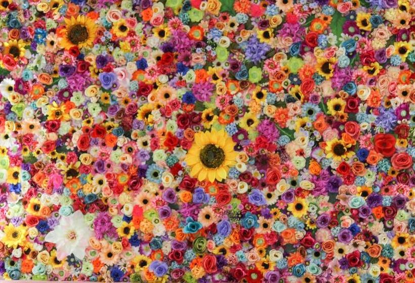 חדר סטנדרט, Betty S Boutique