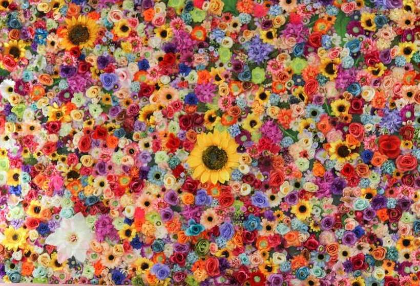 חדר סטנדרט, Betty S Boutique