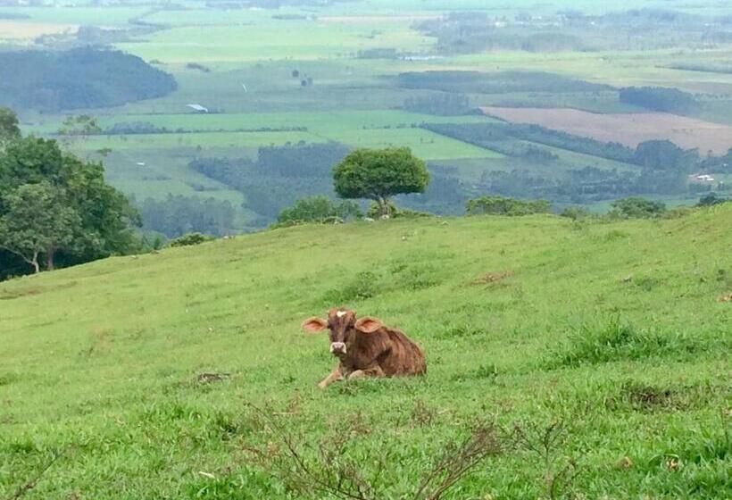 패밀리 룸, Pousada Do Belvedere   Sítio Ramos