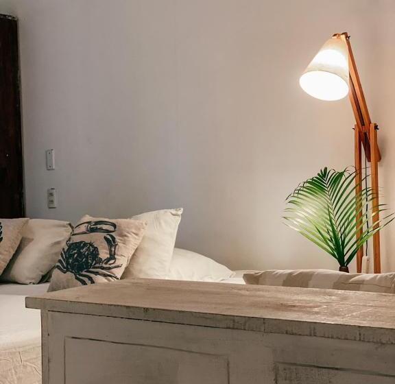 스탠다드 룸 킹사이즈 침대, Pousada Vayú