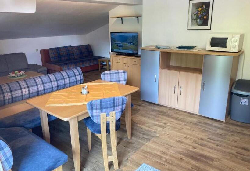 شقة غرفة واحدة, Garni Siegmundshof   Inclusive Joker Card Im Sommer