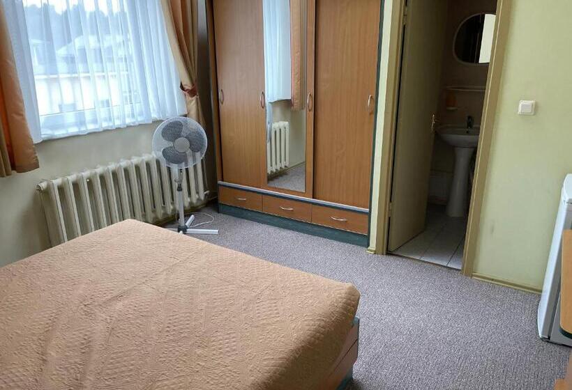 اتاق استاندارد, Medziotoju Kiemelis