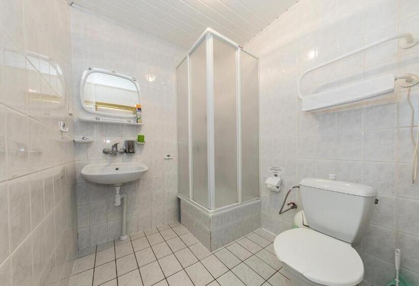 اتاق استاندارد سه نفره, Medziotoju Kiemelis