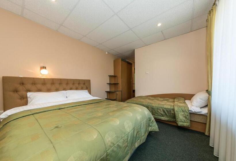 اتاق استاندارد سه نفره, Medziotoju Kiemelis