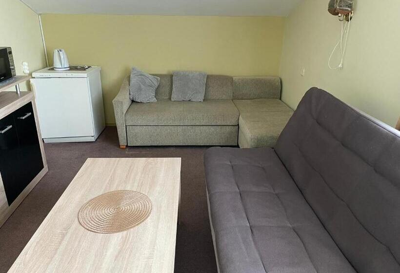 اتاق خانوادگی, Medziotoju Kiemelis